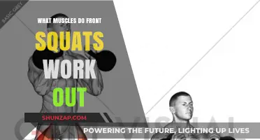 Front Squats: Targeted Muscles and Full-Body Strength Benefits Explained