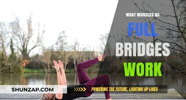 Full Bridges: Target Muscles and Benefits for Core Strength
