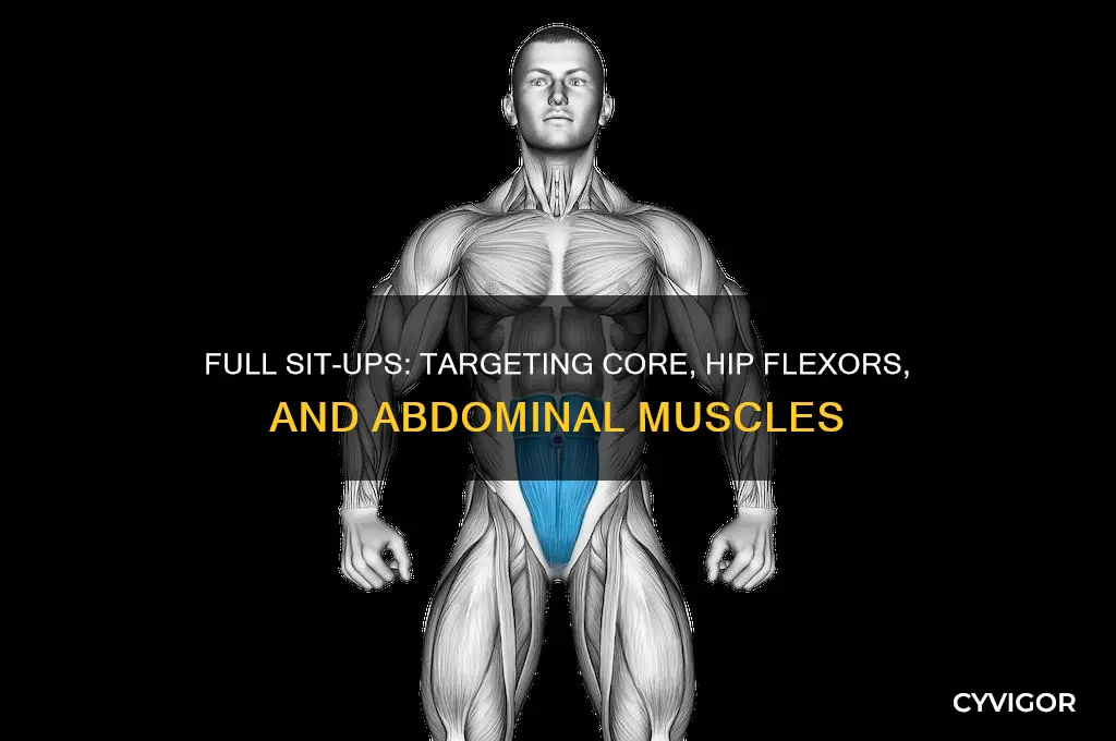what muscles do full sit ups work