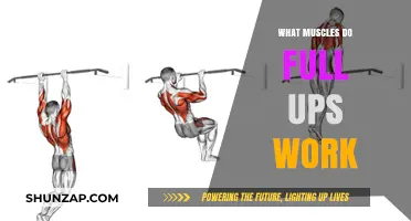 Full-Ups Workout: Targeting Core, Shoulders, and Back Muscles Effectively