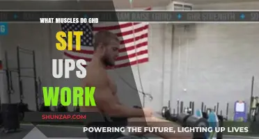 GHD Sit-Ups: Targeted Muscles and Core Strengthening Benefits Explained