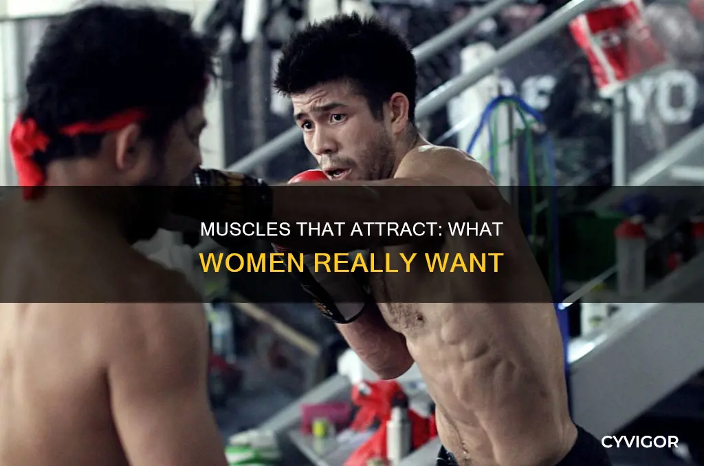 what muscles do girl like