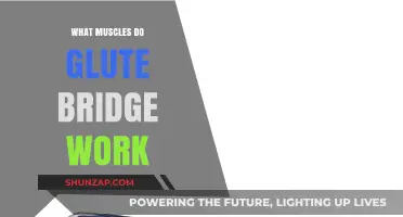Glute Bridge Benefits: Targeted Muscles and Strengthening Effects Explained
