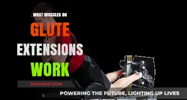 Glute Extensions: Targeted Muscles and Benefits for Stronger Glutes