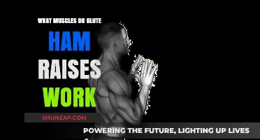 Glute Ham Raises: Targeted Muscles and Benefits Explained