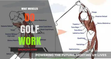 Golf's Hidden Workout: Muscles Engaged in Every Swing and Stance