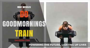 Good Mornings: Targeting Muscles for a Strong Back