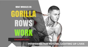 Gorilla Rows: Targeted Muscles and Benefits for Strength Training