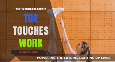 Gravity Toe Touches: Targeted Muscles and Benefits Explained