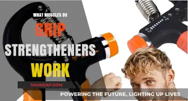 Grip Strengtheners: Targeted Muscles for Enhanced Hand and Forearm Power