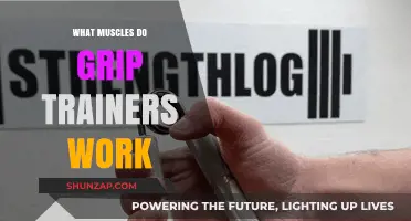 Grip Trainers: Targeted Muscles for Stronger Hands and Forearms