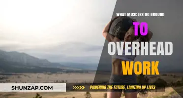 Ground to Overhead: Muscles Engaged in Full-Body Lifting Explained