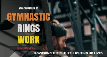 Gymnastic Rings Workout: Targeted Muscles and Full-Body Benefits Explained
