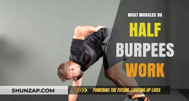 Half Burpees: Target Muscles and Full-Body Benefits Explained