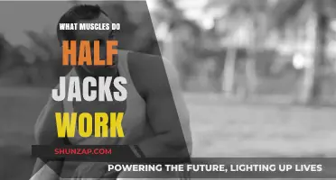 Half Jacks Workout: Targeted Muscles and Fitness Benefits Explained