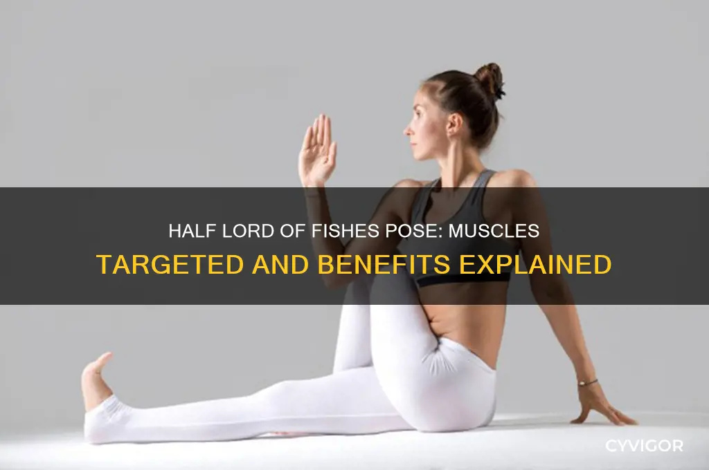 what muscles do half lord of fishes work