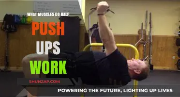 Half Push-Ups: Targeted Muscles and Benefits for Upper Body Strength