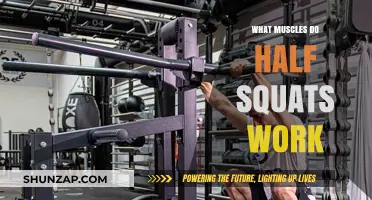 Half Squats: Target Muscles and Benefits for Lower Body Strength