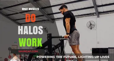 Halo Exercises: Targeted Muscles and Strength-Building Benefits Explained