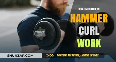 Hammer Curls: Target Muscles and Benefits for Stronger Arms