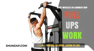 Hammer Grip Pull-Ups: Targeted Muscles and Strength Benefits Explained