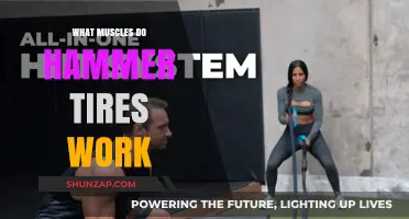 Hammer Tire Workouts: Targeted Muscles and Full-Body Benefits Explained