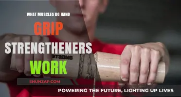 Hand Grip Strengtheners: Targeted Muscles and Benefits Explained