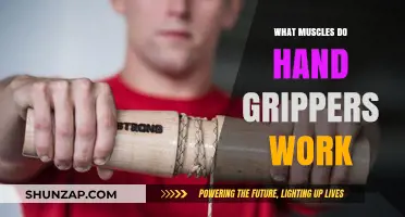 Hand Grippers: Target Muscles and Strength Benefits Explained