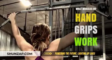 Hand Grips: Targeted Muscles and Strengthening Benefits Explained