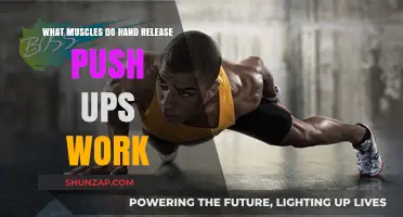 Hand Release Push Ups: Targeted Muscles and Benefits Explained