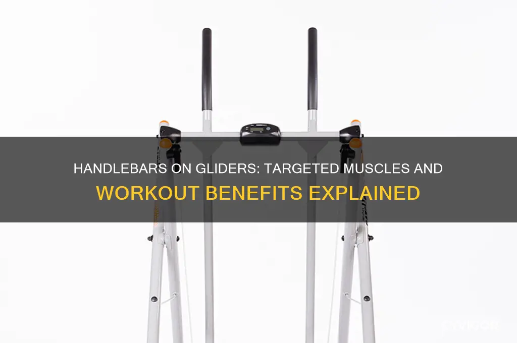 what muscles do handlebars on gliders work