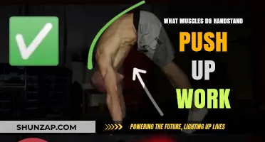 Handstand Push-Up Muscles: Targeted Strength Training Explained