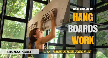 Hang Boards: Target Muscles for Climbers and Grip Strength Training