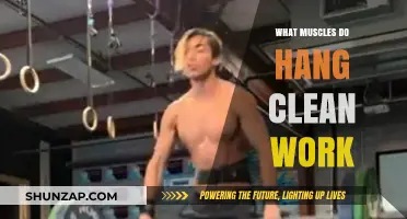 Hang Clean Muscles: Targeted Strength Training for Explosive Power