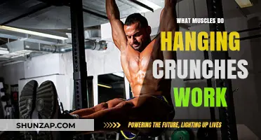 Hanging Crunches: Targeted Muscles and Core Strengthening Benefits Explained