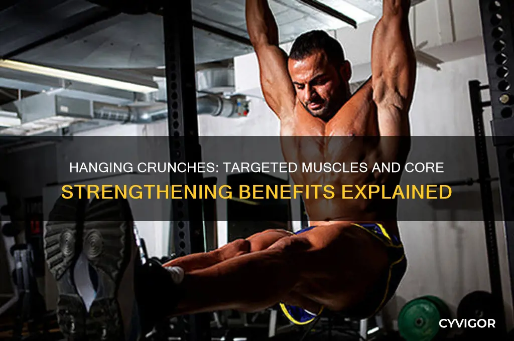 what muscles do hanging crunches work