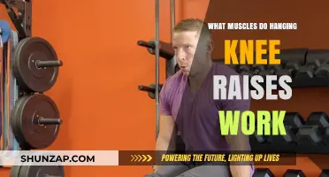 Hanging Knee Raises: Targeted Muscles and Core Strengthening Benefits