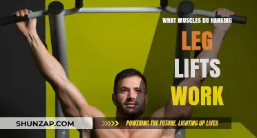 Hanging Leg Lifts: Targeted Muscles and Core Strength Benefits