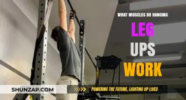 Hanging Leg Ups: Targeted Muscles and Core Strength Benefits
