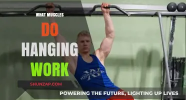 Hanging Exercises: Targeted Muscles and Full-Body Strength Benefits