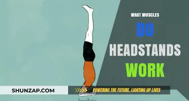 Headstands: Unlocking Core, Shoulder, and Arm Strength Benefits