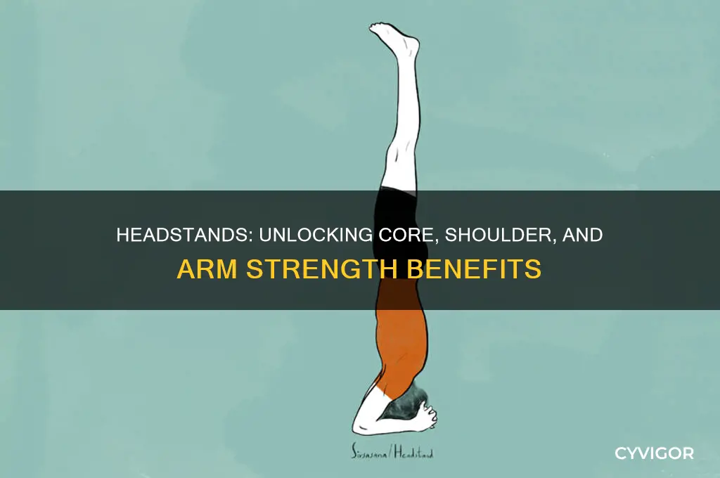 what muscles do headstands work