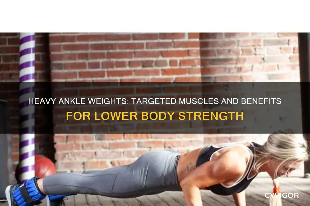 what muscles do heavy ankle weights work