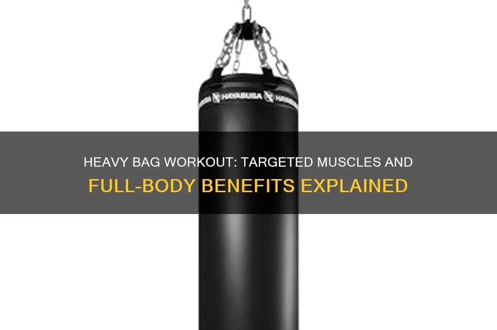 what muscles do heavy bags work