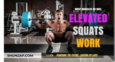 Heel Elevated Squats: Target Muscles and Benefits Explained