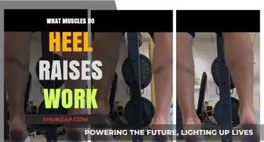 Heel Raises: Targeting Calf Muscles for Strength and Definition