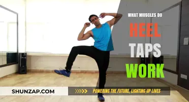 Heel Taps: Targeted Muscles and Benefits for Lower Body Strength