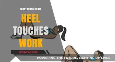 Heel Touches: Targeted Muscles and Benefits for Core Strength