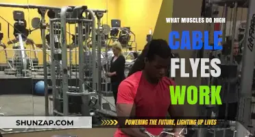 High Cable Flyes: Targeted Muscles and Workout Benefits Explained
