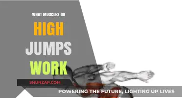 High Jumps: Unlocking the Muscles Behind Explosive Vertical Leaps